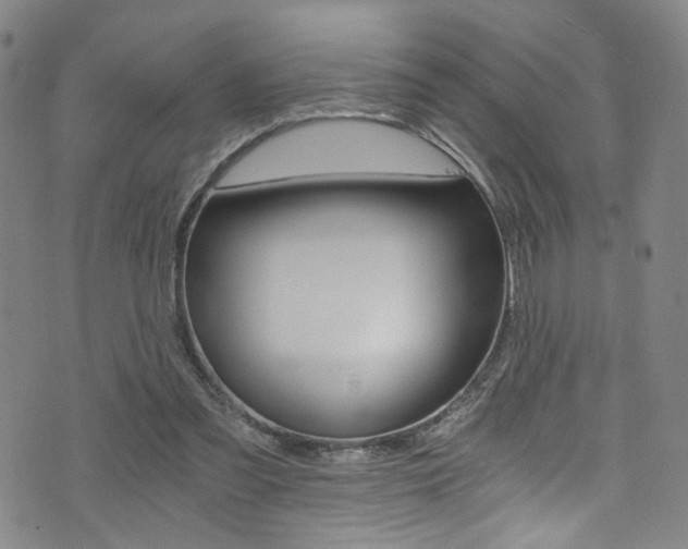 X0000073510301200607310924
