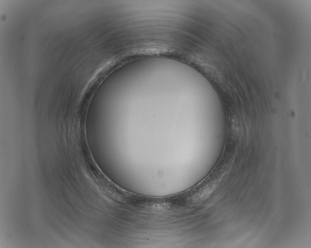 X0000073510304200607310924