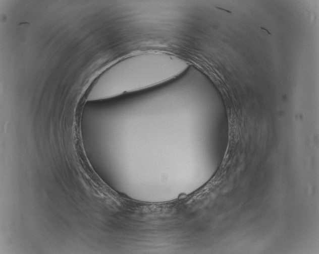 X0000073510338200607310923