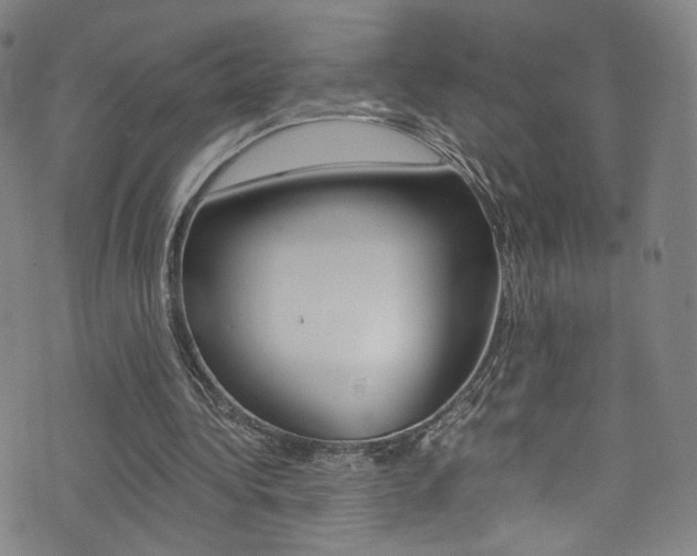 X0000073510340200607310923