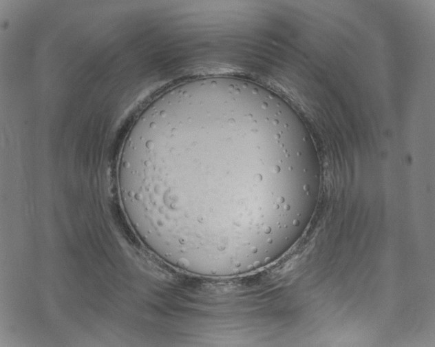 X0000073510351200607310923