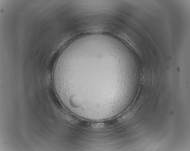 X0000073510355200607310923