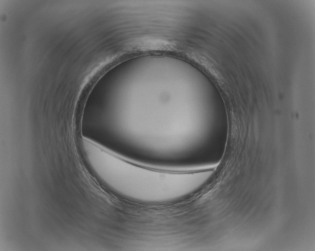 X0000073510391200607310923