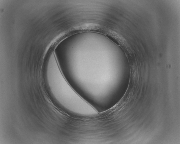 X0000073510392200607310923