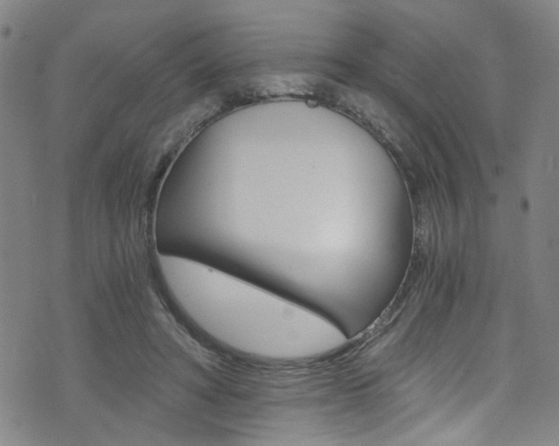 X0000073510402200607310923