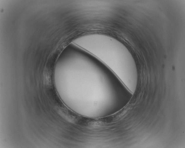 X0000073510408200607310923