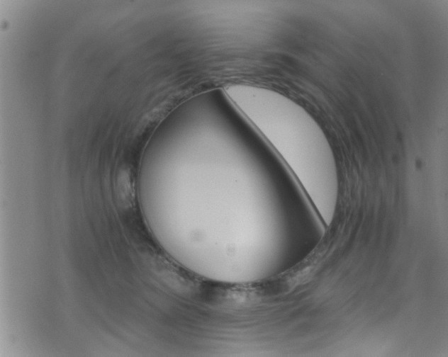 X0000073510420200607310922