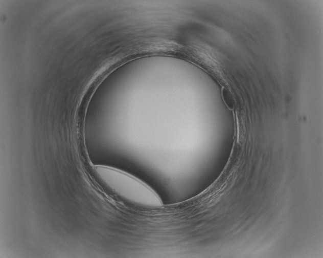 X0000073510435200607310922