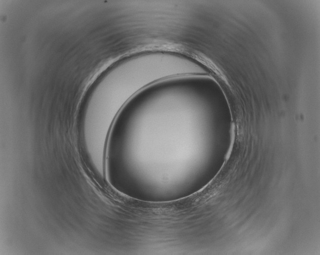 X0000073510436200607310922