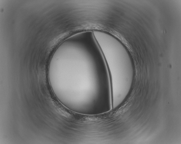 X0000073510442200607310922