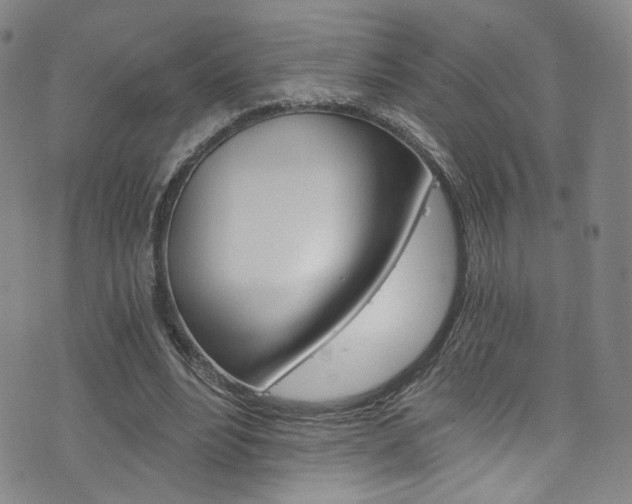X0000073510488200607310921