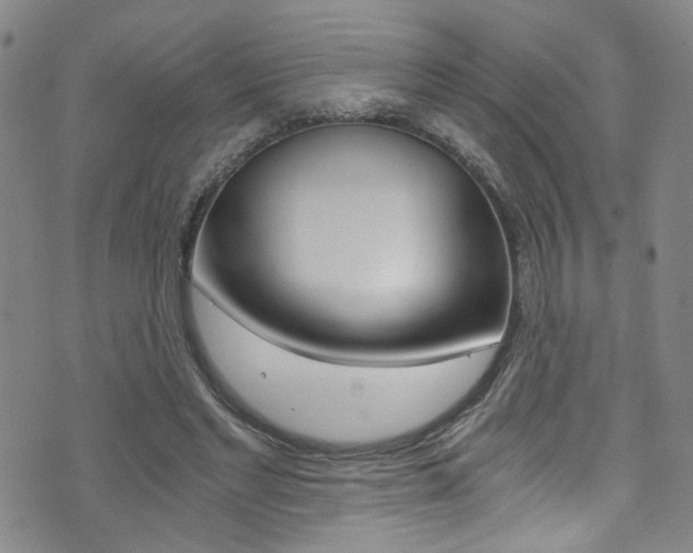 X0000073510493200607310921