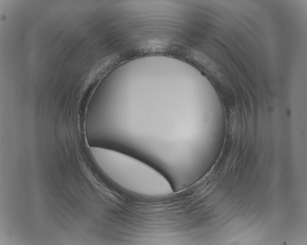 X0000073510494200607310921