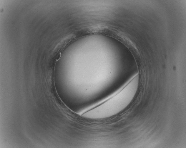 X0000073510505200607310921