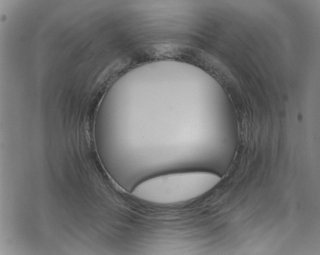 X0000073510506200607310921