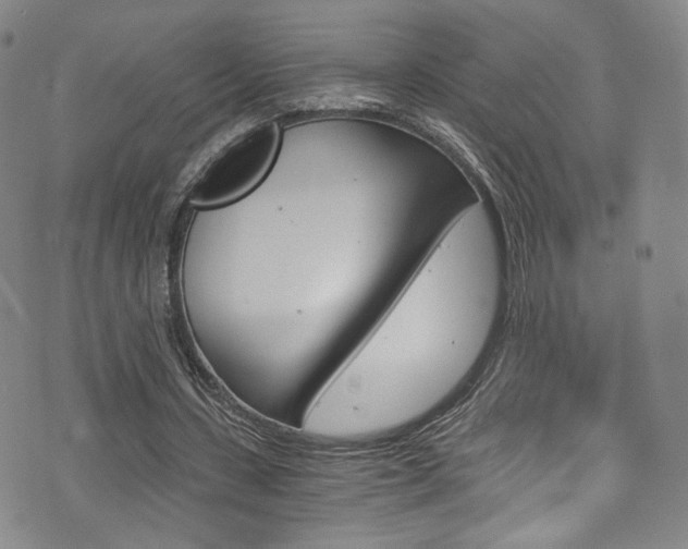 X0000073510531200607310920