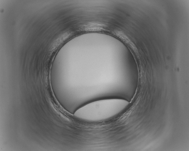 X0000073510533200607310920