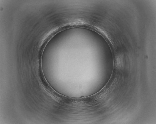 X0000073510535200607310920