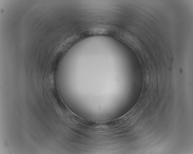 X0000073510551200607310920