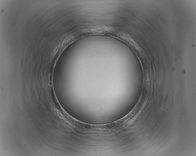 X0000073510585200607310920
