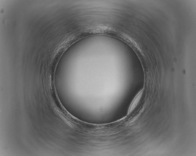 X0000073510589200607310920