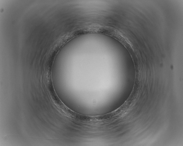X0000073510641200607310919