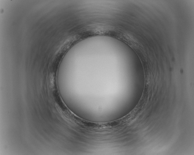 X0000073510646200607310919