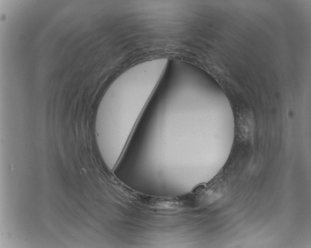 X0000073510657200607310919