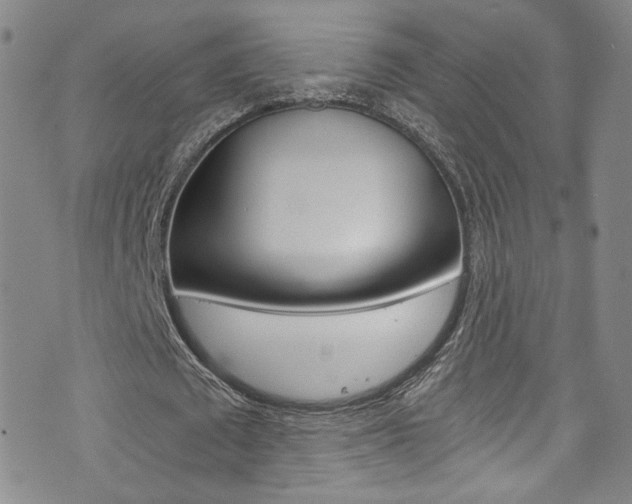 X0000073510673200607310918