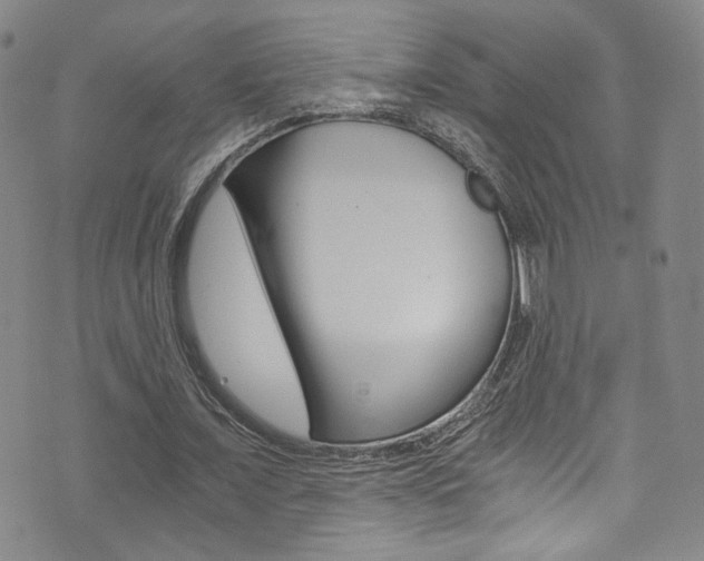 X0000073510675200607310918