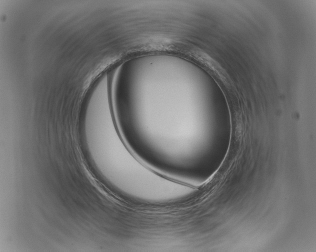 X0000073510677200607310918