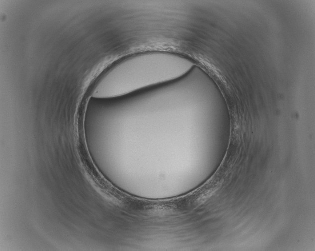 X0000073510678200607310918