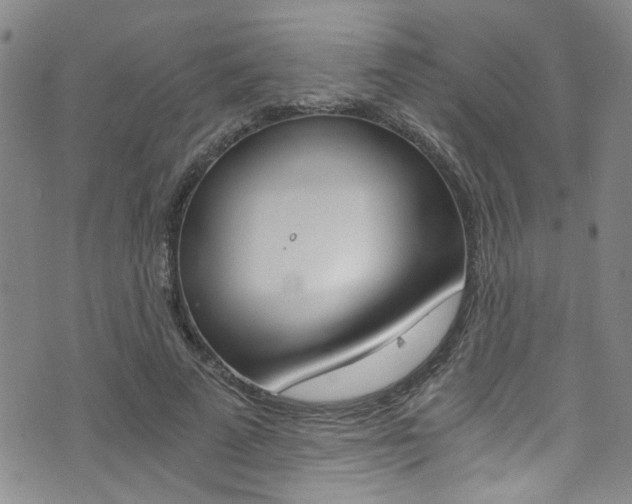 X0000073510689200607310918
