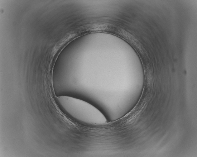 X0000073510721200607310917