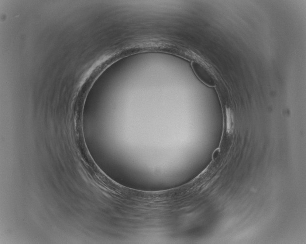 X0000073510723200607310917