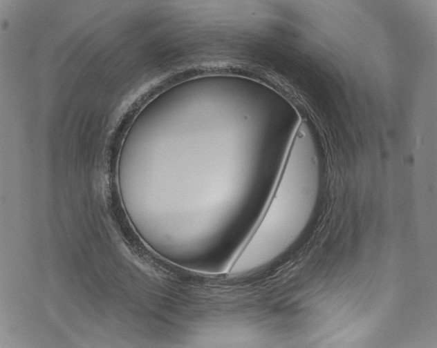 X0000073510728200607310917