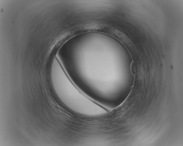 X0000073510731200607310917