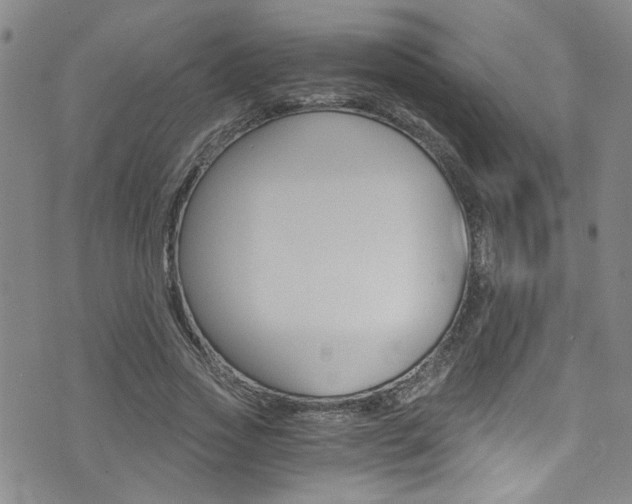 X0000073510733200607310917