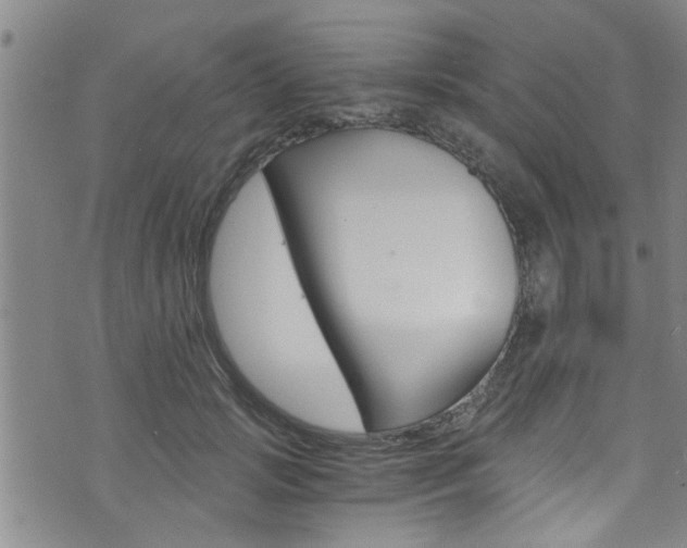 X0000073510749200607310917