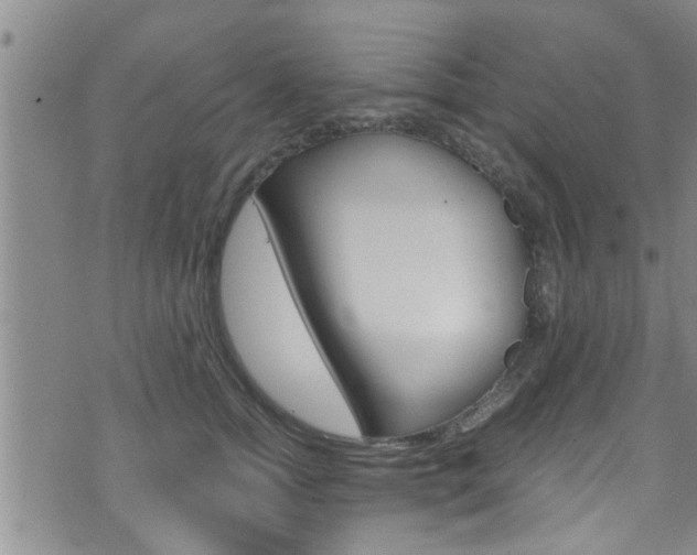 X0000073510758200607310917