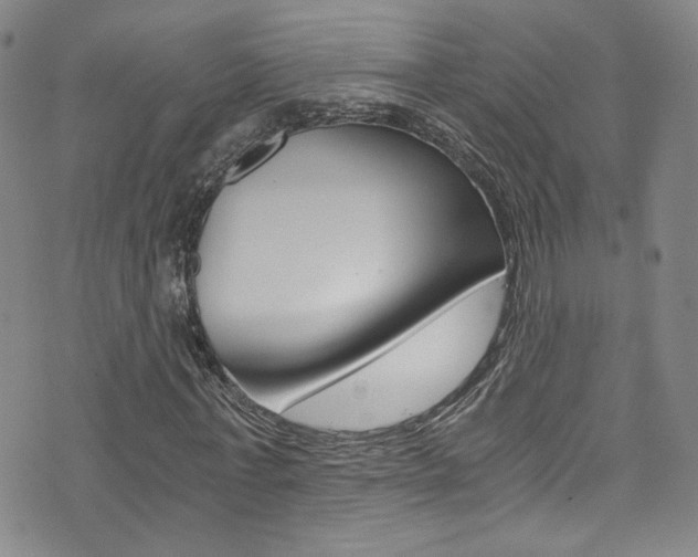X0000073510771200607310917