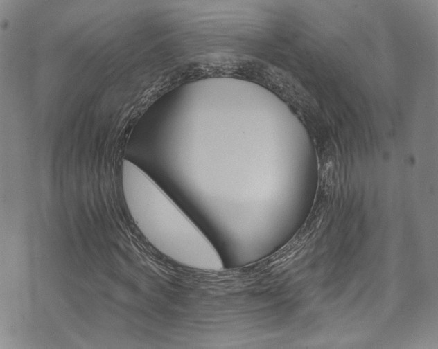 X0000073510772200607310917