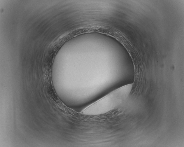 X0000073510773200607310917