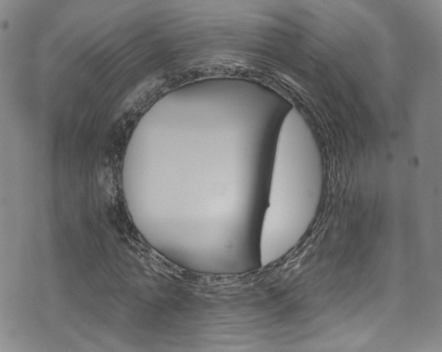X0000073510774200607310917