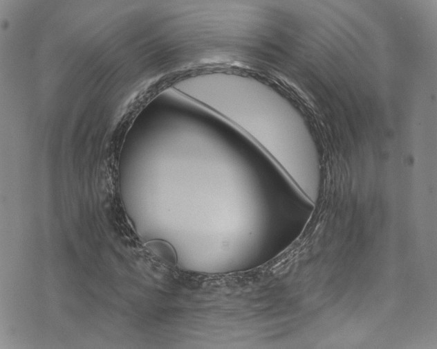 X0000073510776200607310917