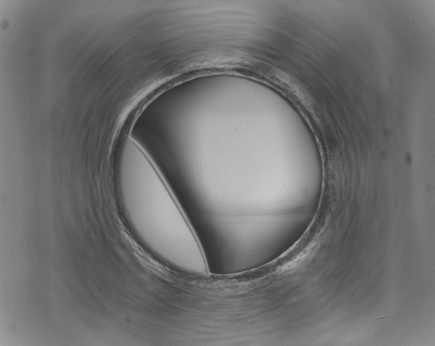 X0000073510779200607310917