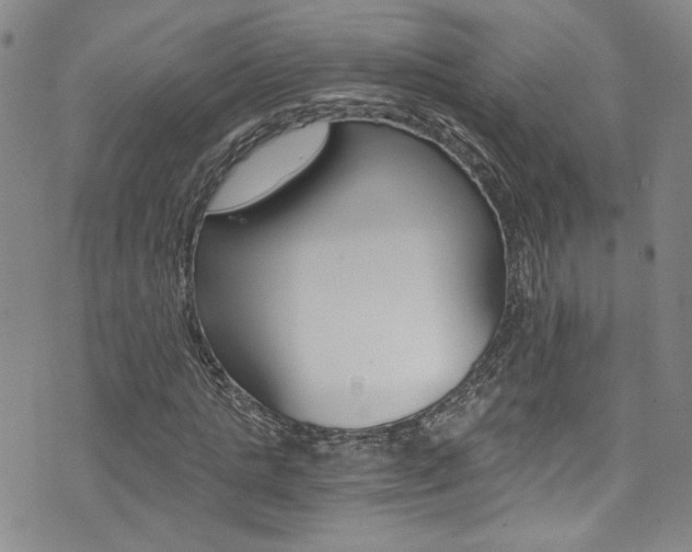 X0000073510821200607310915