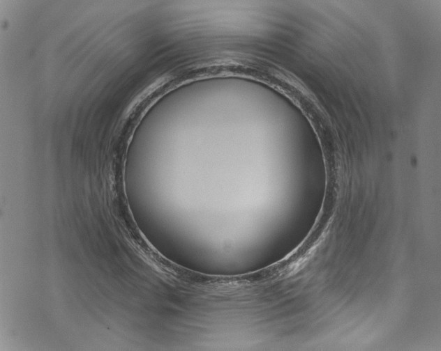 X0000073510826200607310915