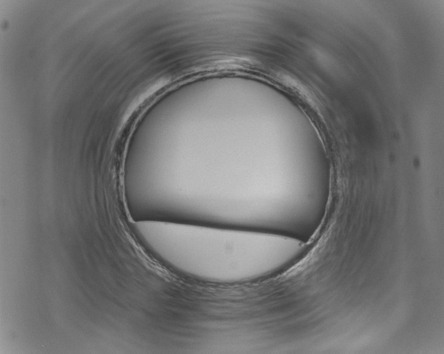 X0000073510827200607310915