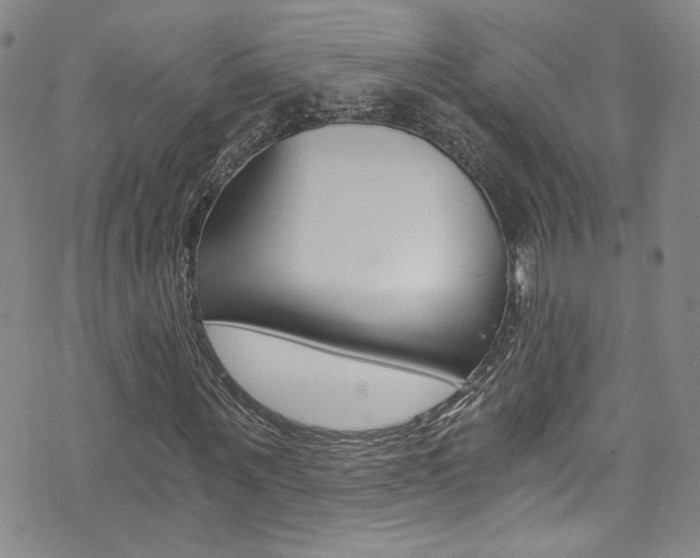 X0000073510867200607310915
